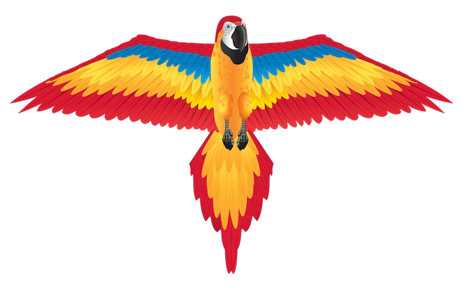 Nylon 2D Kite - Red Macaw - Best Active Play for Ages 8 to 12 - US 3639