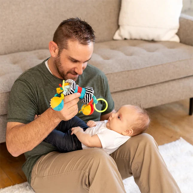 Wimmer Zaggles - Best Baby Toys & Gifts for Ages 0 to 5 - US 2047