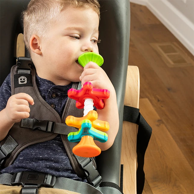 MiniSpinny - Best Baby Toys &amp; Gifts for Babies - Fat Brain Toys - US 6398