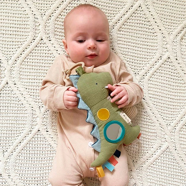 Bitzy Traveler - Best Baby Toys &amp; Gifts for Ages 0 to 1 - US 6564