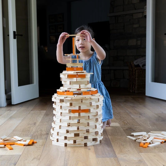 Timber Planks 300 Piece Set - Best for Ages 3 to 6 - US 8574