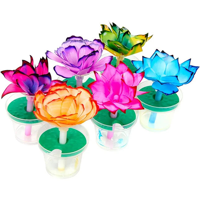 Crayola Paper Flower Science Kit - Best Arts &amp; Crafts for Ages 7 to 10 - US 7150