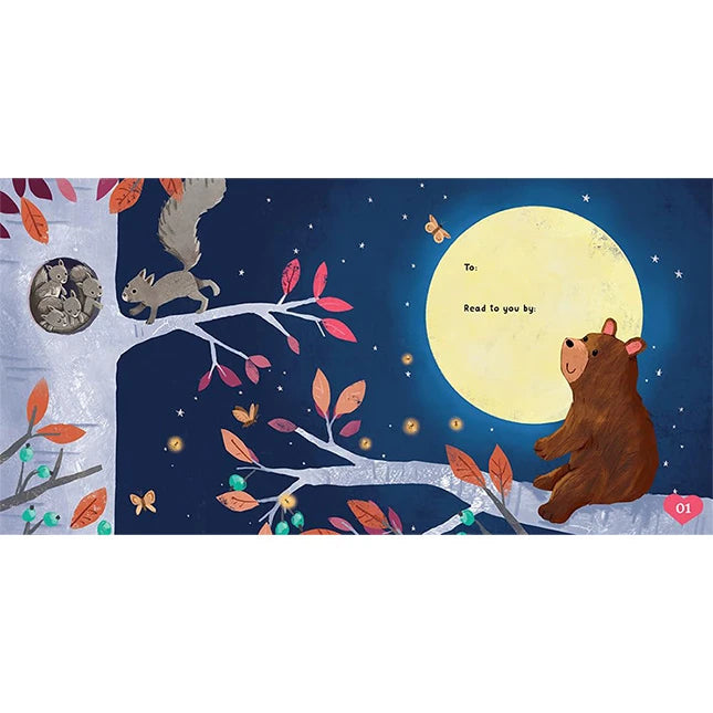 My Recordable Storytime - Sweet Dreams Night Night - US 1433